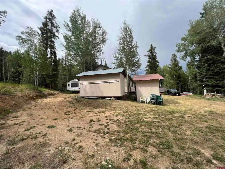 127 Chicago Park Road, Pitkin, CO 81241 - #3