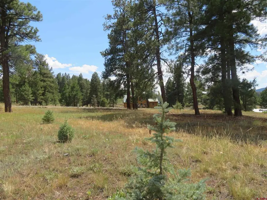 142 Hatcher Circle, Pagosa Springs, CO 81147 - #2