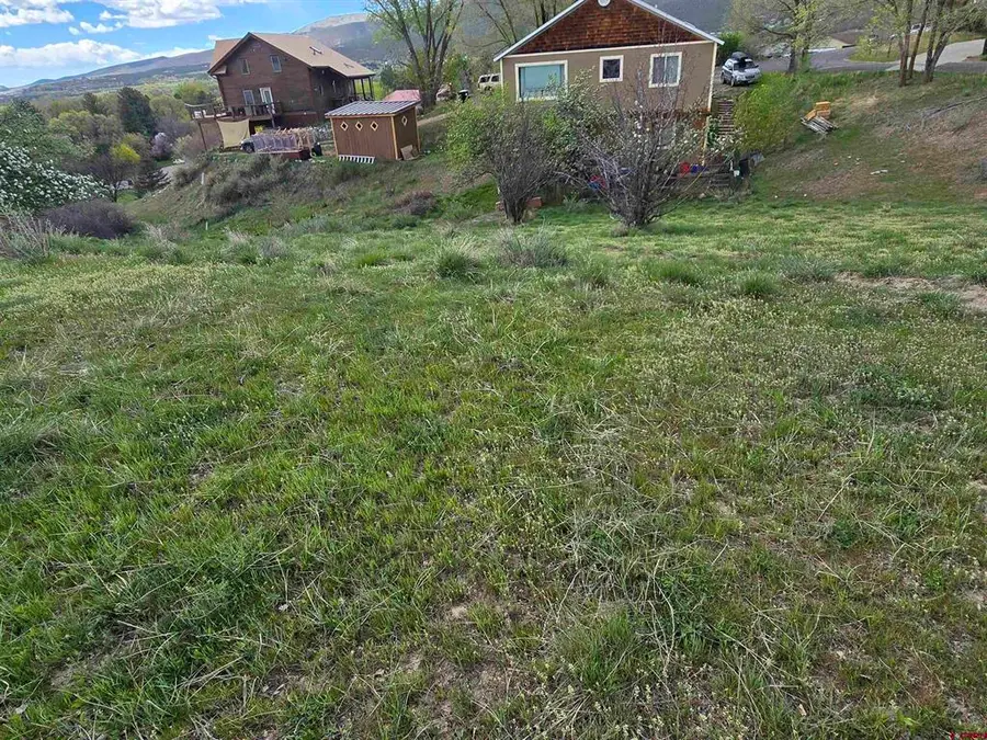 36 Box Elder Drive, Paonia, CO 81428 - #3