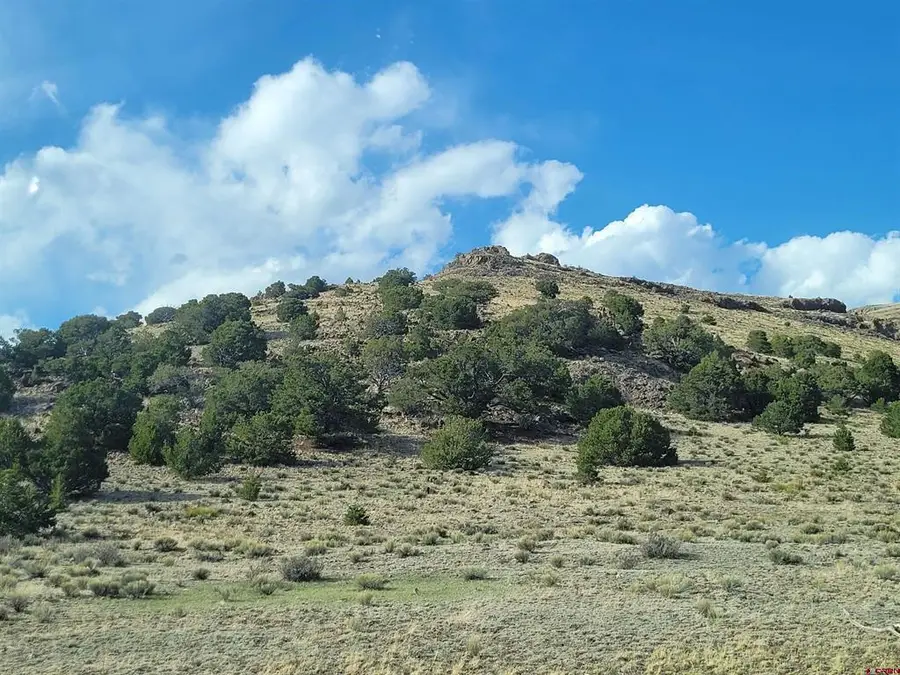 TBD Cr 33hh Road, Saguache, CO 81149 - #2