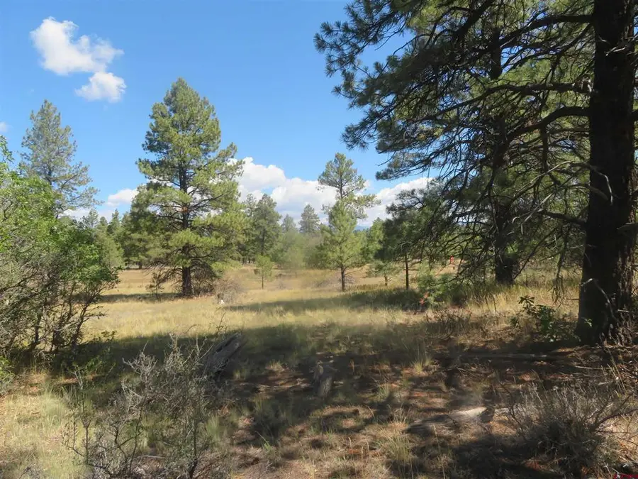100 N Pinescent Court, Pagosa Springs, CO 81147 - #2
