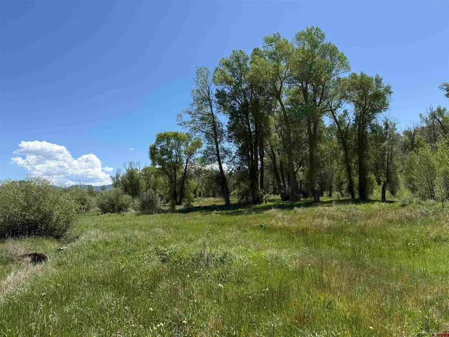 82653 Highway 92, Crawford, CO 81415 - #2
