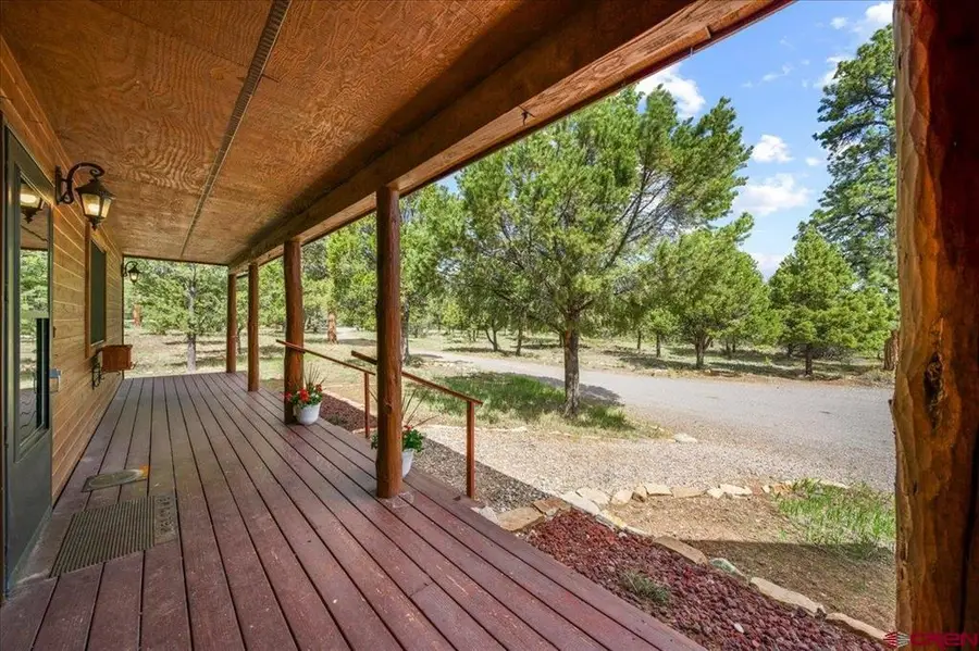 1010 Canyon Drive, Ridgway, CO 81432 - #3