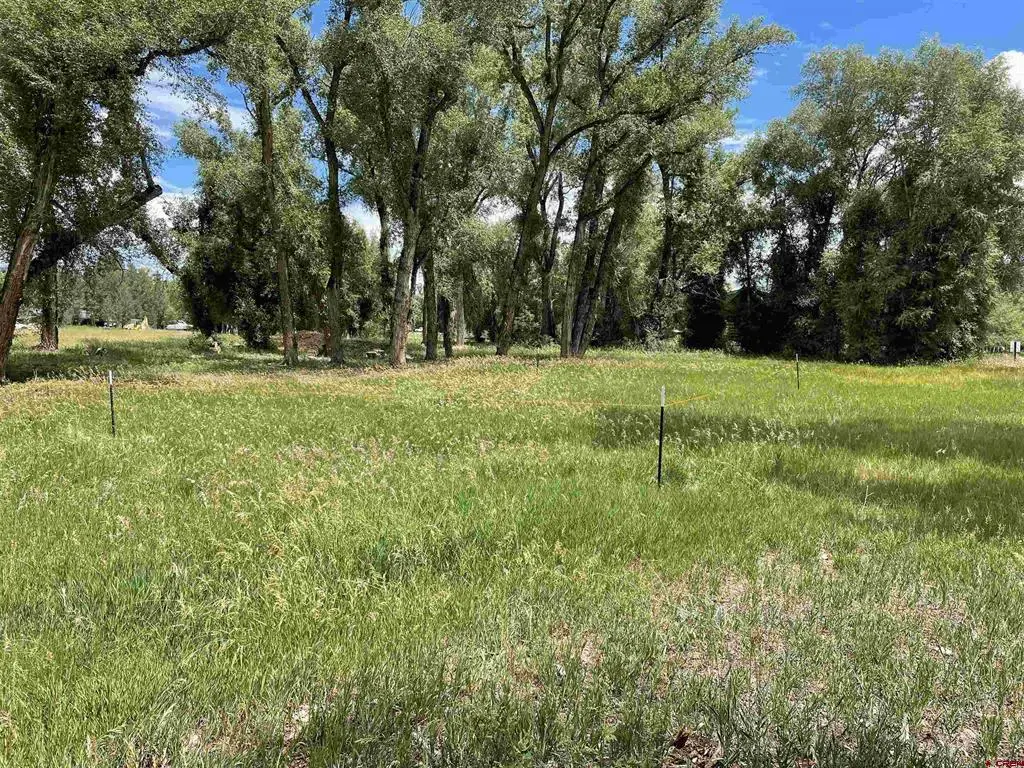 91 Apache Road, Gunnison, CO 81230 - #1