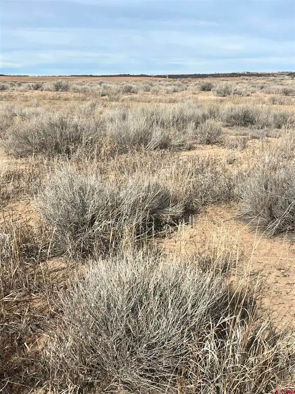 Lots 6, 5, 4 Blk A5 Dc West, Dove Creek, CO 81324 - #2