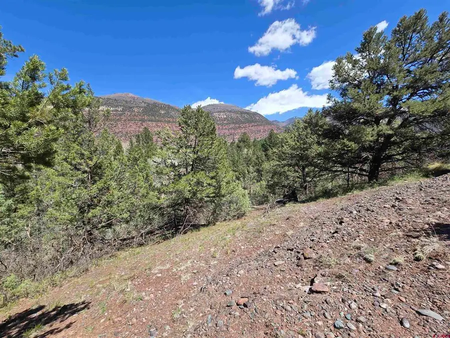 238 Pine Ridge Drive, Ridgway, CO 81432 - #3