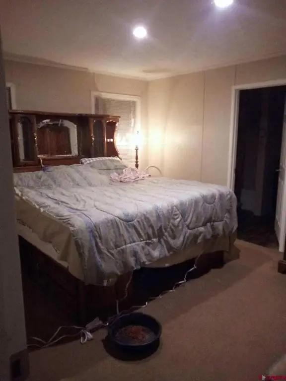 72 W Great West Avenue #63, Pagosa Springs, CO 81147 - #2