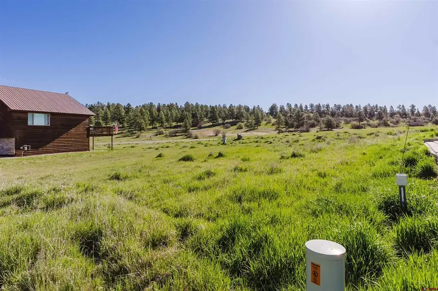 36 Sam Houston Avenue, Pagosa Springs, CO 81147 - #3