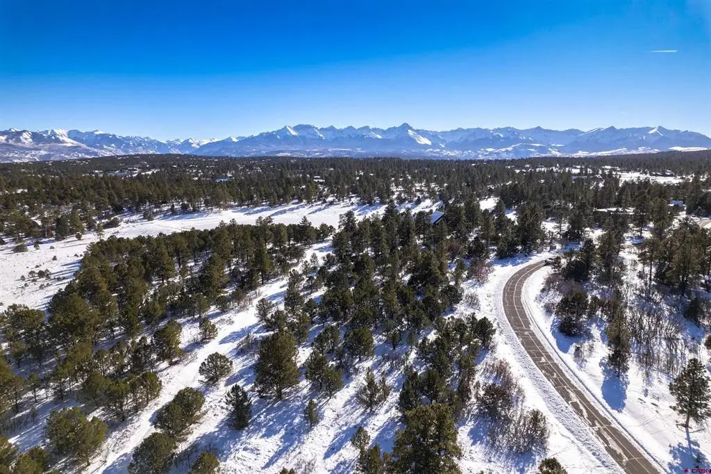 Lot 555 N Badger Trail, Ridgway, CO 81432 - #1