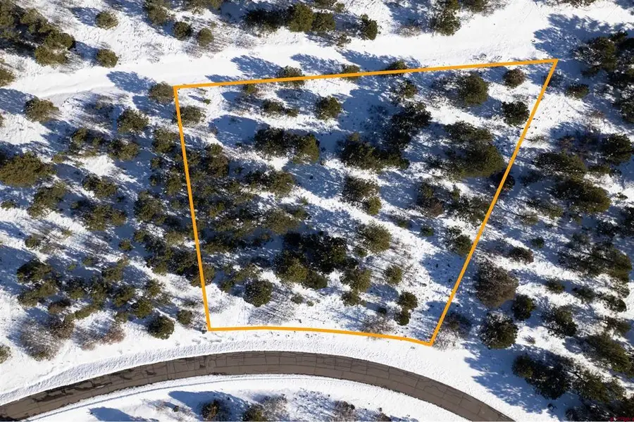 Lot 555 N Badger Trail, Ridgway, CO 81432 - #2