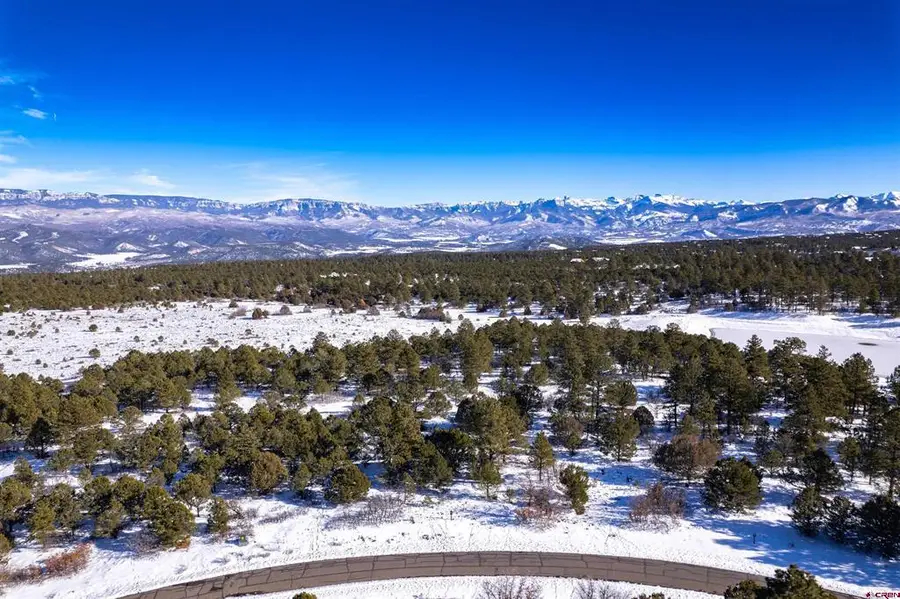 Lot 555 N Badger Trail, Ridgway, CO 81432 - #3