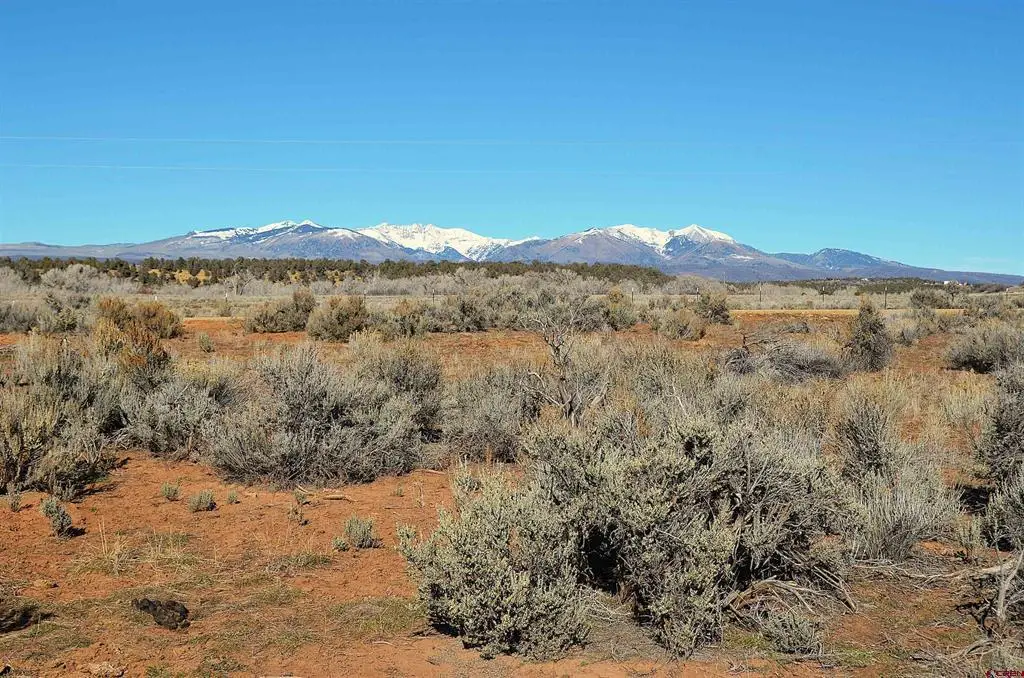 Lot 3 Mesa Lane, Hesperus, CO 81326 - #1