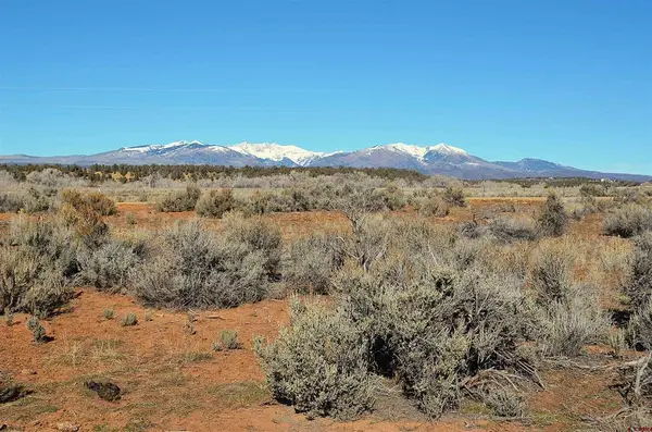 Lot 3 Mesa Lane, Hesperus, CO 81326