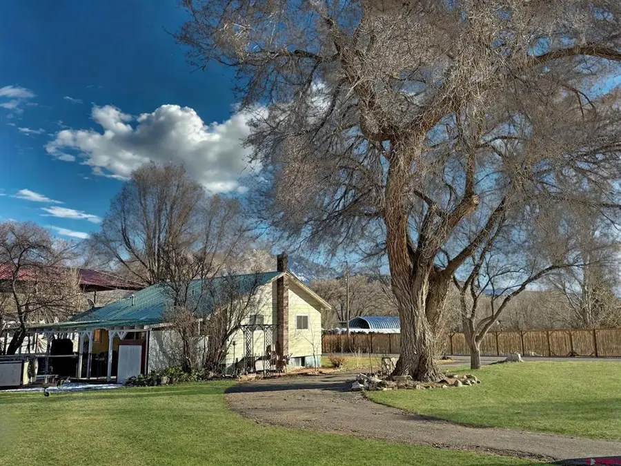 458 Price Road, Paonia, CO 81428 - #3