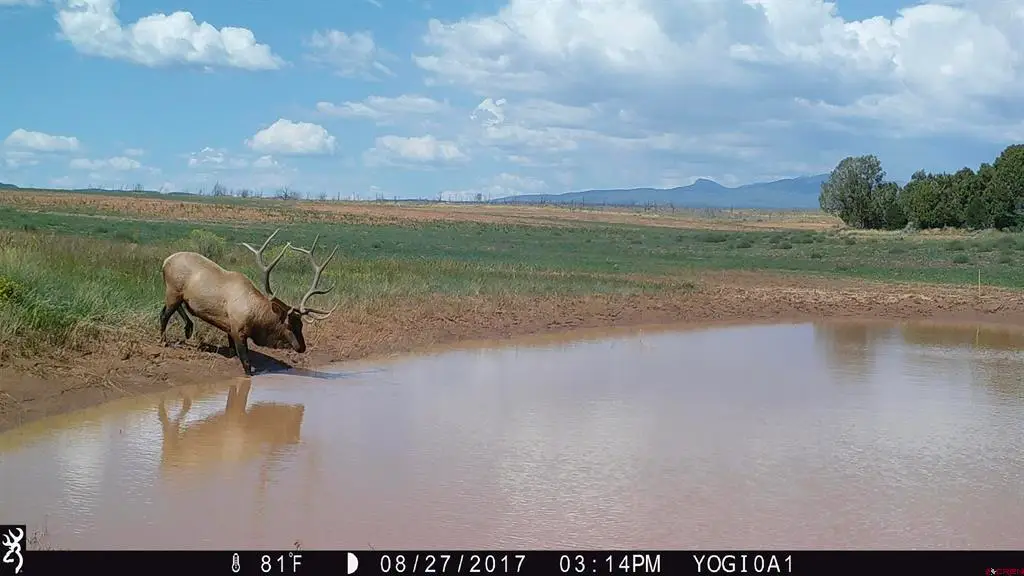 000 Akati Gulch Road, Hesperus, CO 81326 - #1