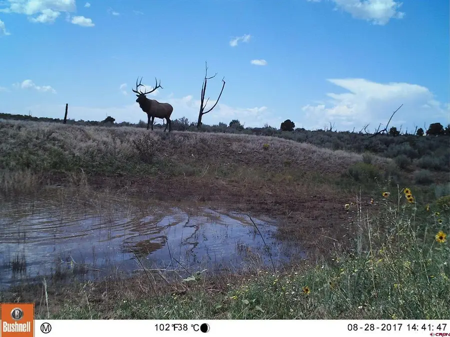 000 Akati Gulch Road, Hesperus, CO 81326 - #2