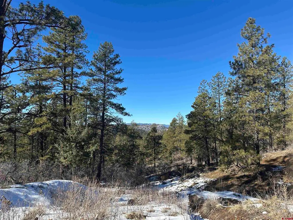 1742 West View Road, Pagosa Springs, CO 81147 - #1