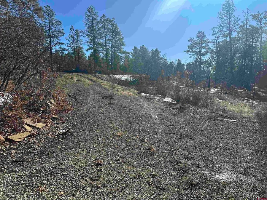 1742 West View Road, Pagosa Springs, CO 81147 - #3