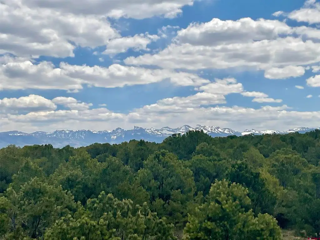 6101 County Road 1 Road, Montrose, CO 81403 - #1
