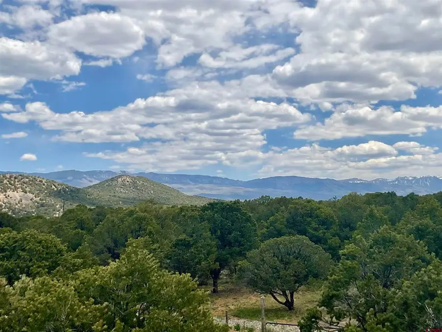 6101 County Road 1 Road, Montrose, CO 81403 - #2