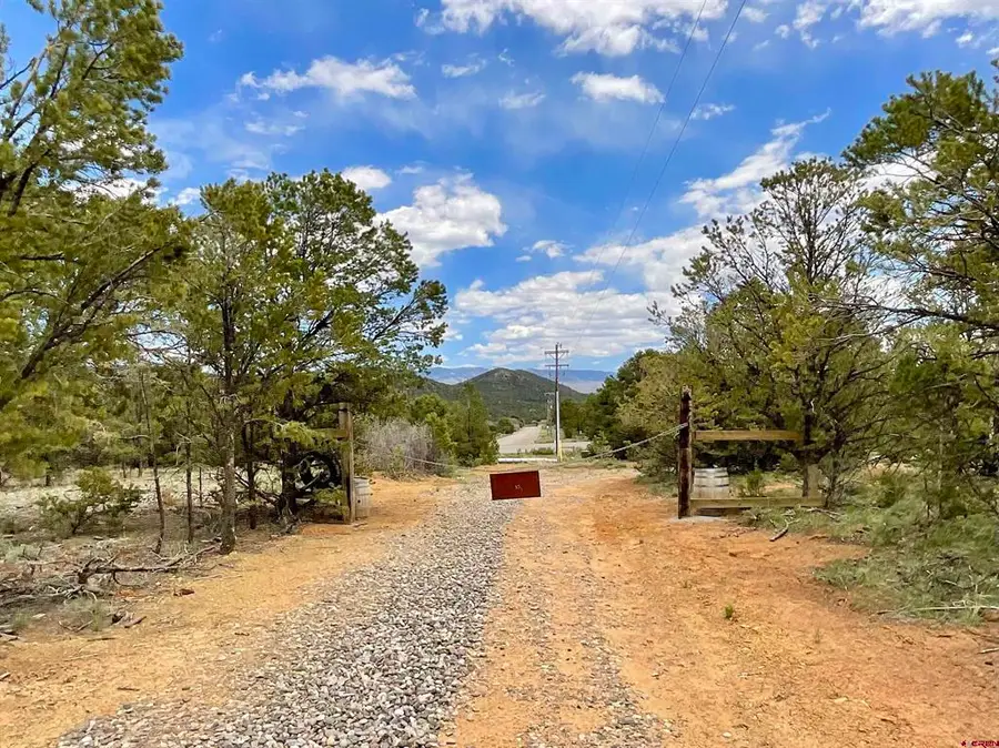 6101 County Road 1 Road, Montrose, CO 81403 - #3