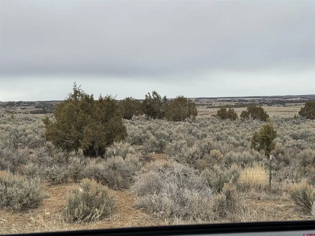TBD Highway 184, Lewis, CO 81327 - #1