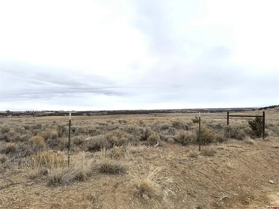 TBD Highway 184, Lewis, CO 81327 - #2