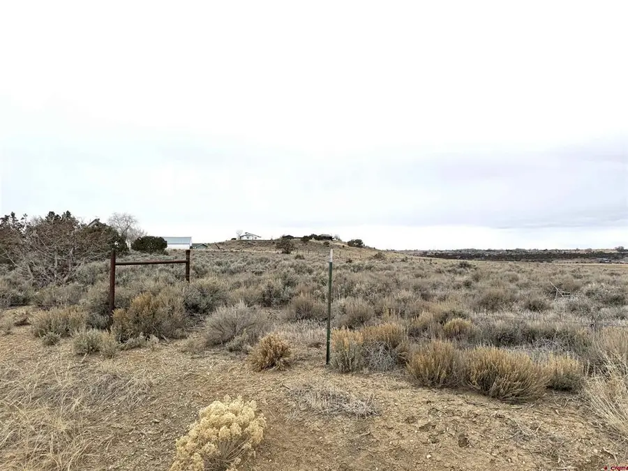 TBD Highway 184, Lewis, CO 81327 - #3