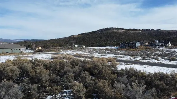 740 SE Pinyon Street, Cedaredge, CO 81413