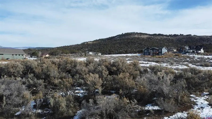 740 SE Pinyon Street, Cedaredge, CO 81413 - #2