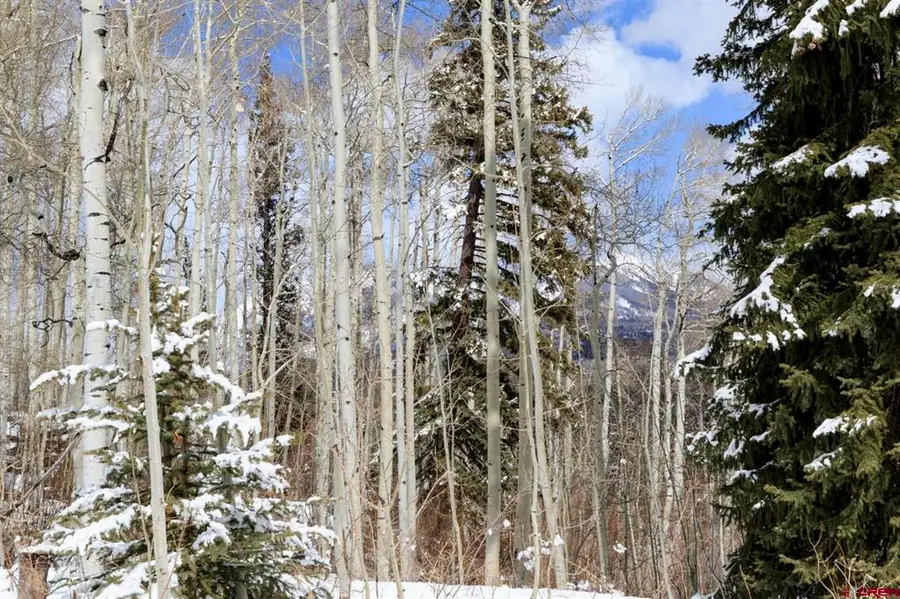 TBD Story Fork Road, Durango, CO 81301 - #3