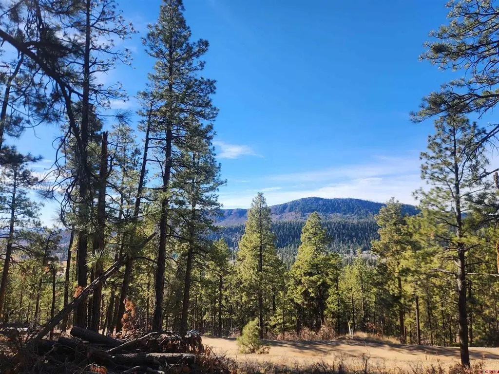 259 Deer Ridge Drive, Bayfield, CO 81122 - #1