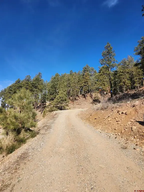 259 Deer Ridge Drive, Bayfield, CO 81122 - #2