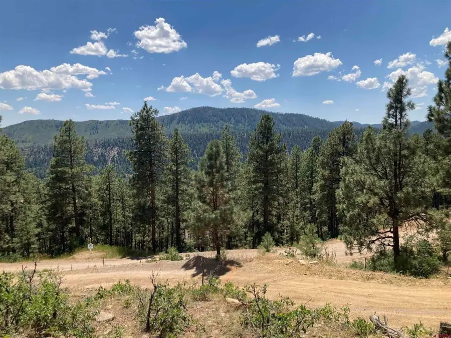 259 Deer Ridge Drive, Bayfield, CO 81122 - #3