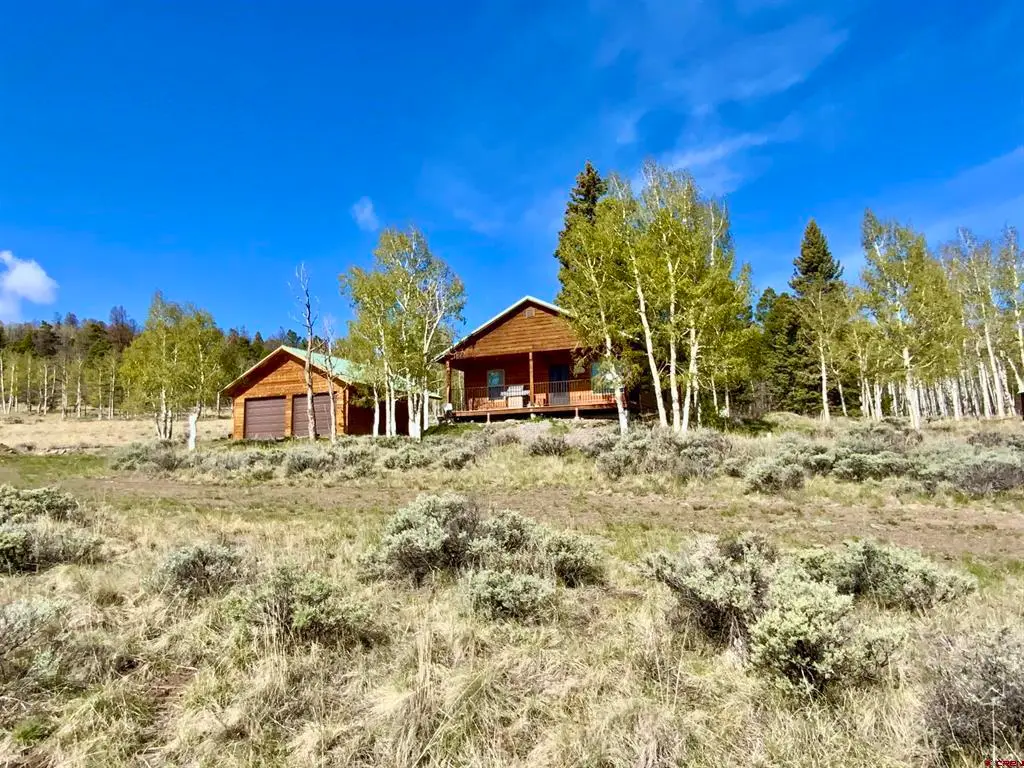 1019 Uncompahgre Drive, Powderhorn, CO 81243 - #1