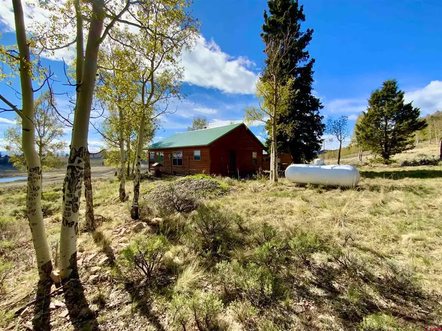 1019 Uncompahgre Drive, Powderhorn, CO 81243 - #2