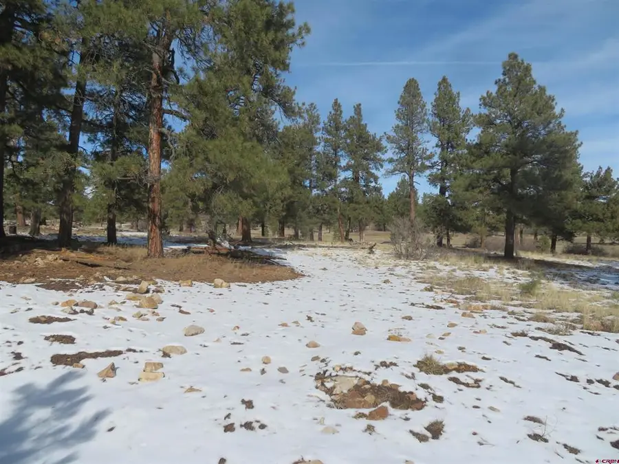 4999 North Pagosa Boulevard, Pagosa Springs, CO 81147 - #3