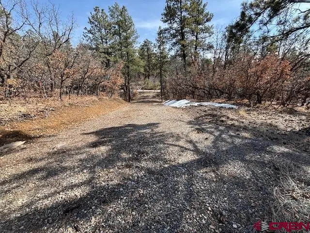 2308 Bull Elk Place, Pagosa Springs, CO 81147 - #1