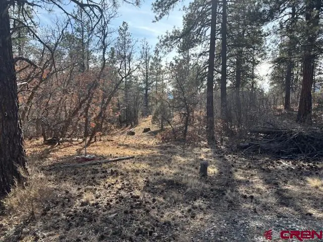 2308 Bull Elk Place, Pagosa Springs, CO 81147 - #2