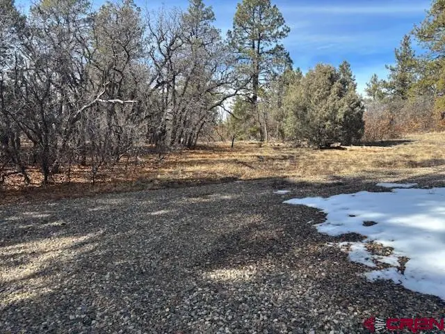 2308 Bull Elk Place, Pagosa Springs, CO 81147 - #3