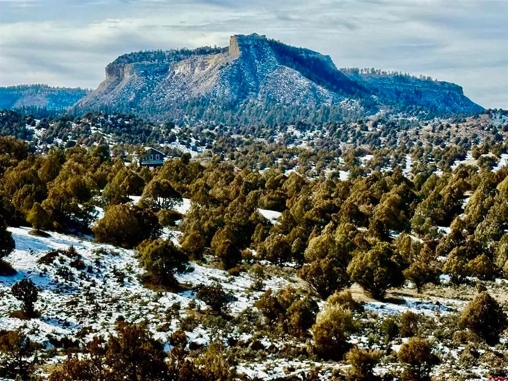 Lot 13 S. Rockcliff Circle, Pagosa Springs, CO 81147 - #1