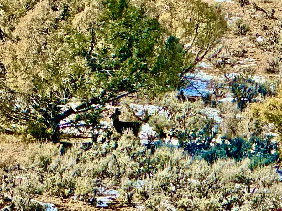 Lot 13 S. Rockcliff Circle, Pagosa Springs, CO 81147 - #2