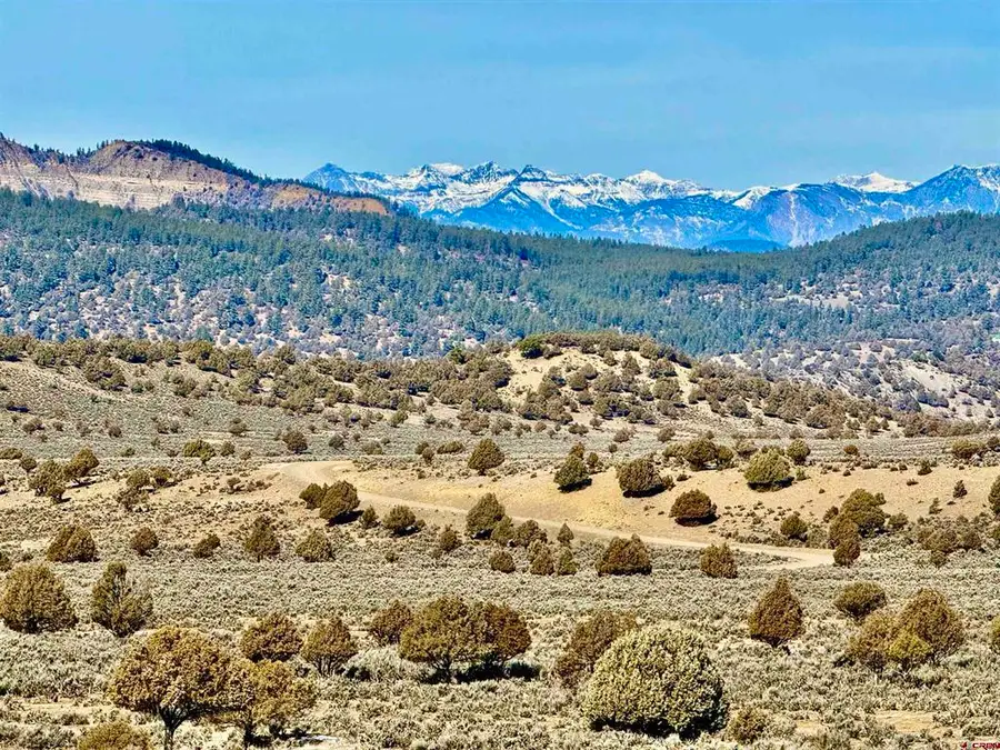 Lot 27 Riverview Drive, Pagosa Springs, CO 81147 - #2