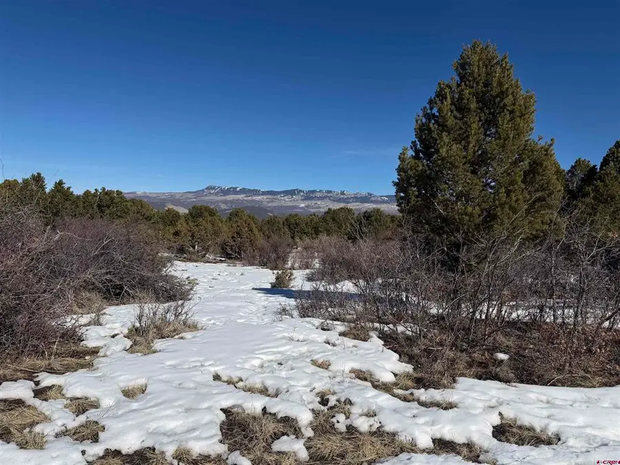 TBD Pine Drive, Ridgway, CO 81432 - #2