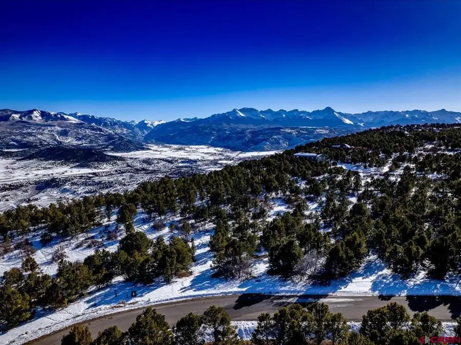 TBD Pine Drive, Ridgway, CO 81432 - #3