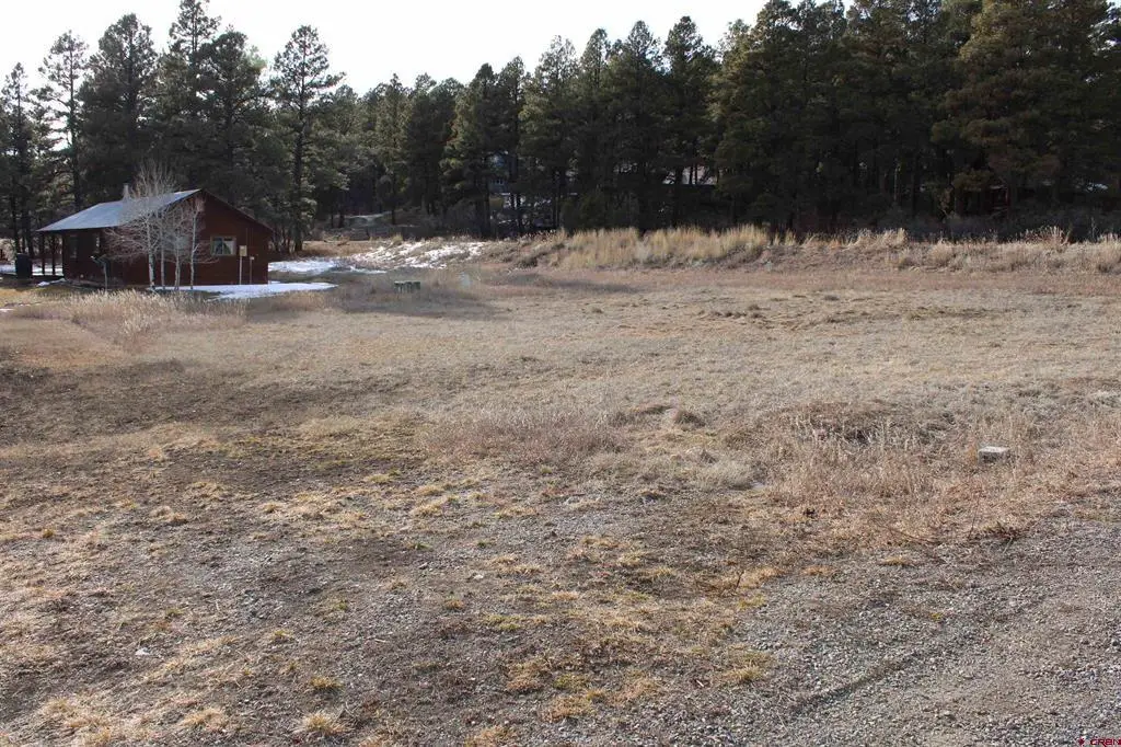 32 Frolic Court, Pagosa Springs, CO 81147 - #1