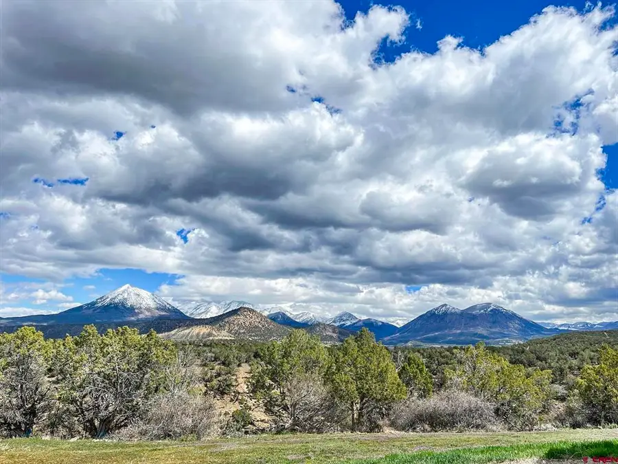 678 3375 Road, Crawford, CO 81415 - #2