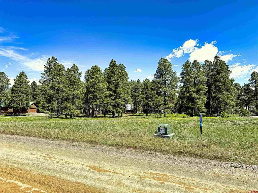 1520 Antelope Avenue, Pagosa Springs, CO 81147 - #1