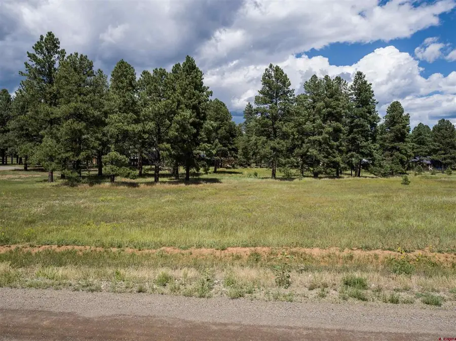 1520 Antelope Avenue, Pagosa Springs, CO 81147 - #2