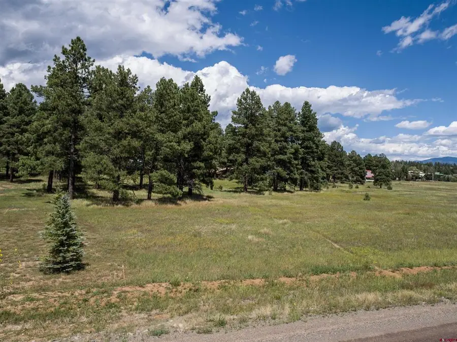 1520 Antelope Avenue, Pagosa Springs, CO 81147 - #3